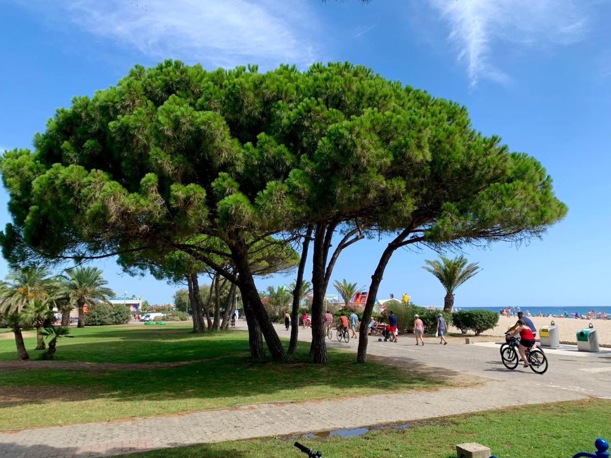 Superbe Appartement Neuf Entre Mer Et Pins Wifi Argeles-sur-Mer Exterior photo