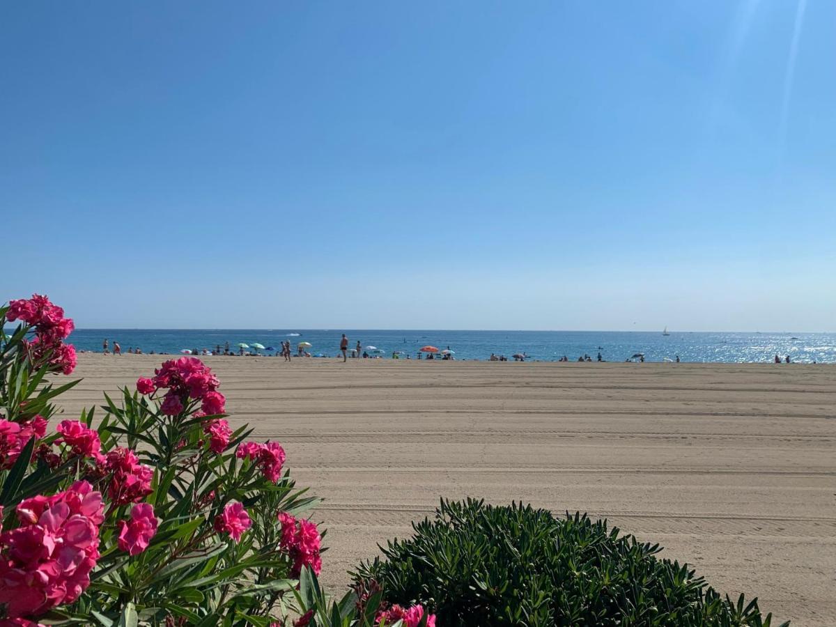Superbe Appartement Neuf Entre Mer Et Pins Wifi Argeles-sur-Mer Exterior photo
